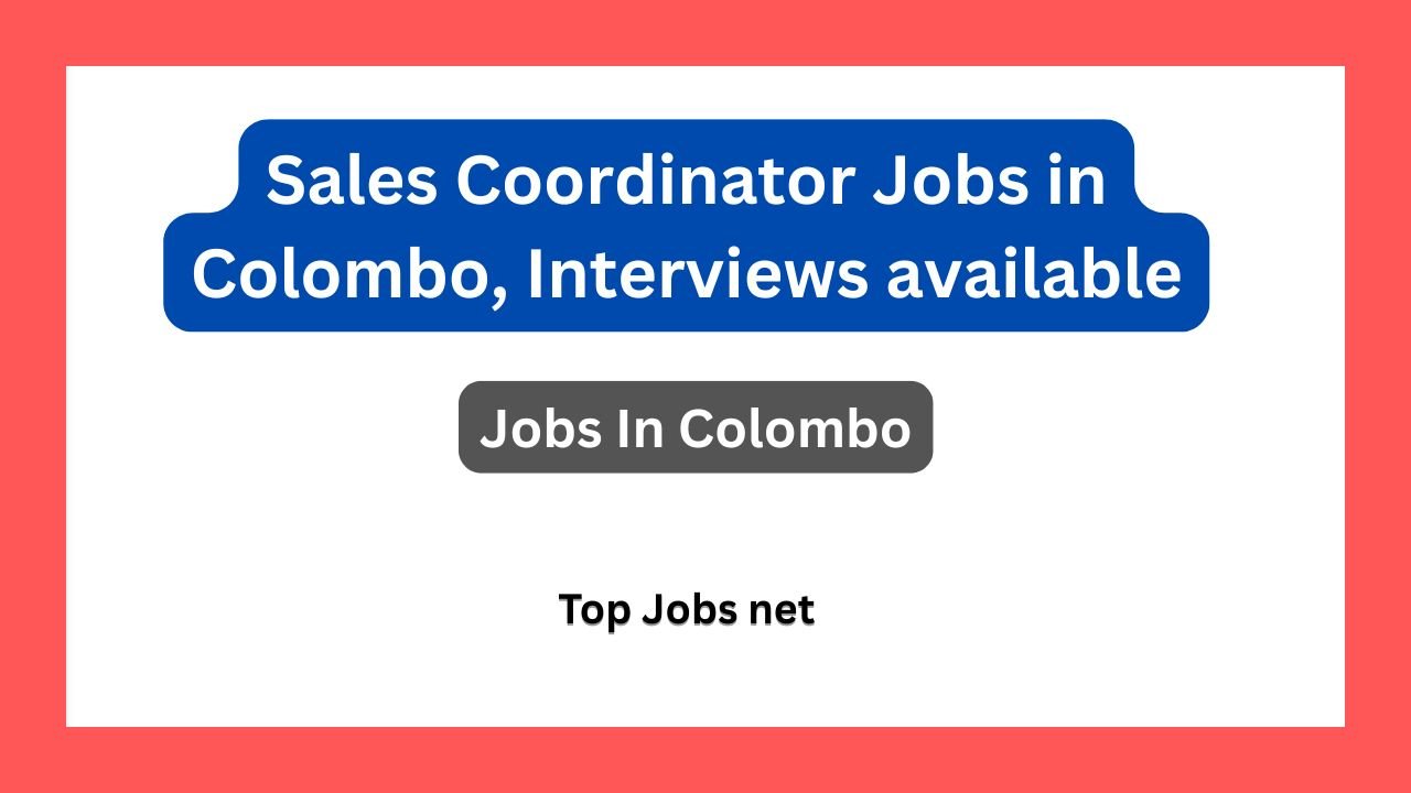 Sales Coordinator Jobs in Colombo, Interviews available