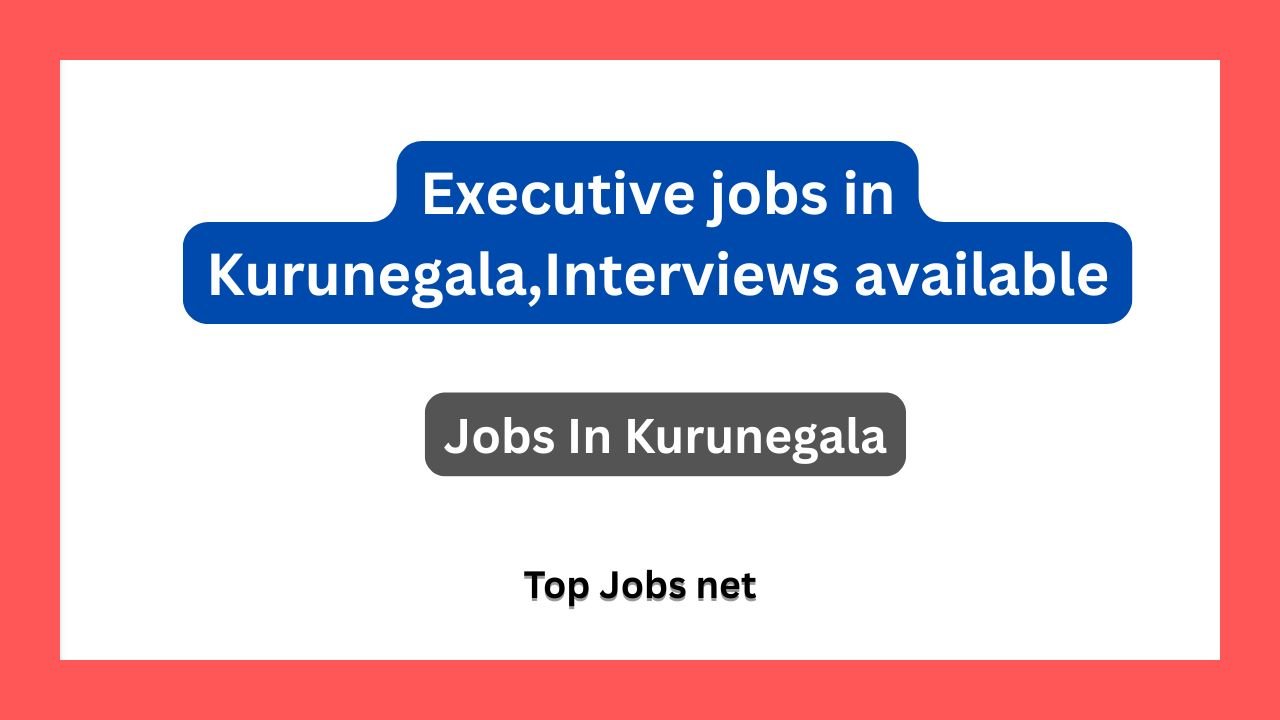 Executive jobs in Kurunegala, Interviews available
