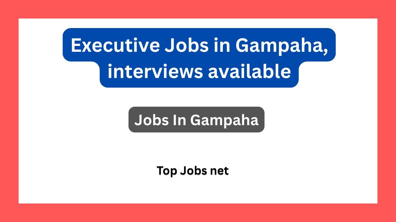 Executive Jobs in Gampaha, interviews available