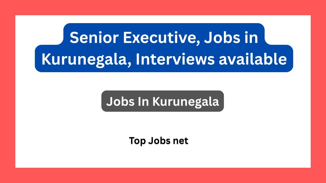 Senior Executive, Jobs in Kurunegala, Interviews available