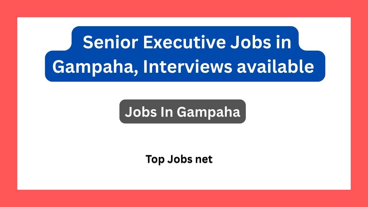 Senior Executive Jobs in Gampaha, Interviews available