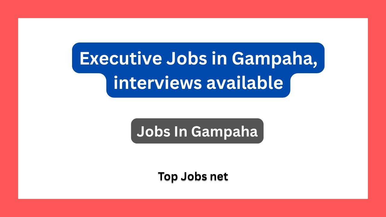Executive Jobs in Gampaha, interviews available