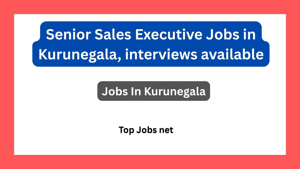 Senior Sales Executive Jobs in Kurunegala, interviews available