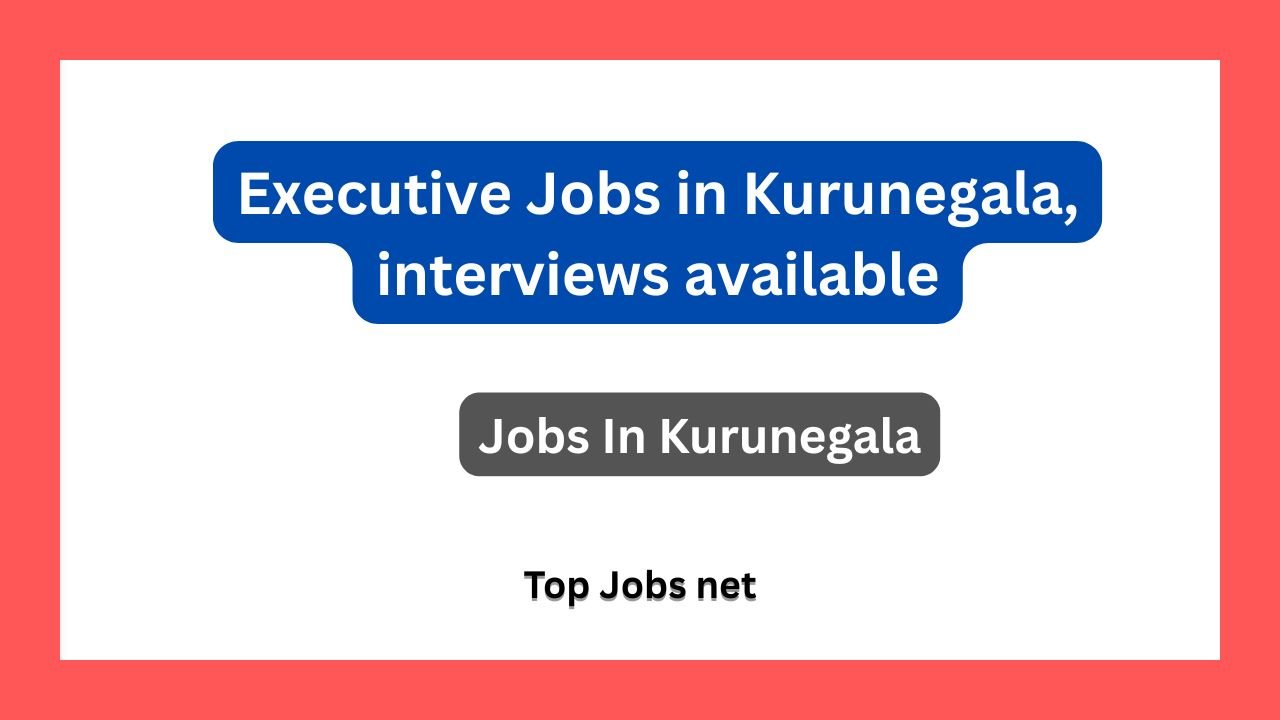 Executive Jobs in Kurunegala, interviews available