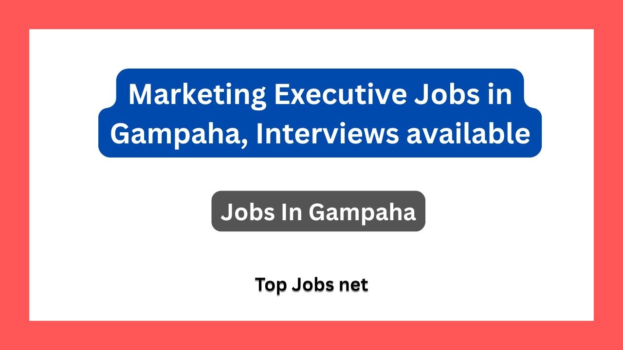 Marketing Executive Jobs in Gampaha, Interviews available