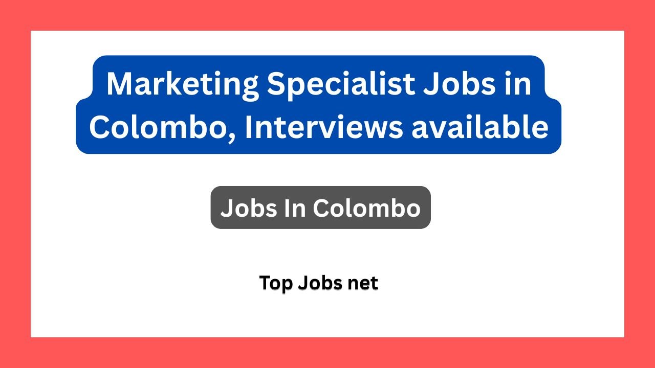 Marketing Specialist Jobs in Colombo, Interviews available