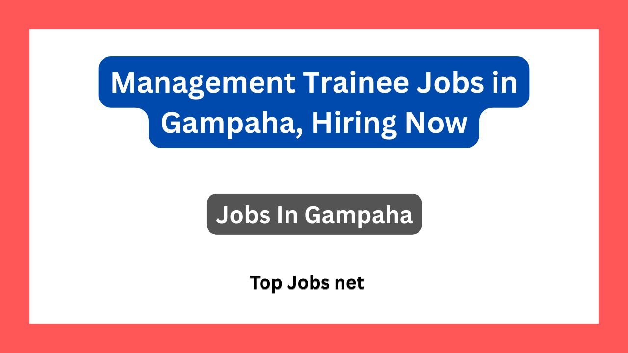 Management Trainee Jobs in Gampaha, Hiring Now