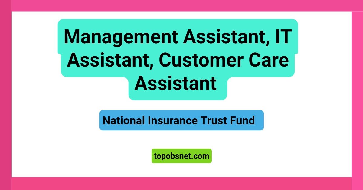 Management Assistant, IT Assistant, Customer Care Assistant – National Insurance Trust Fund Vacancies 2026